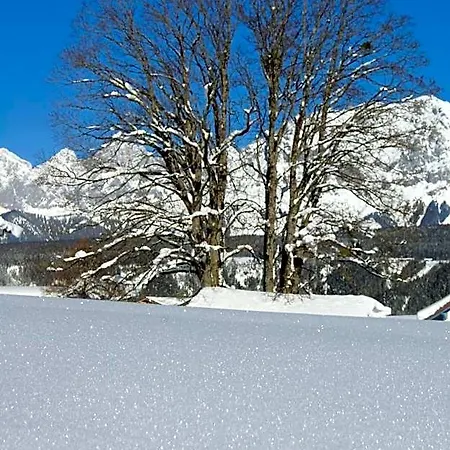 Dachsteinblick Апарт-готель