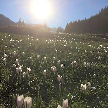 Dachsteinblick Apartahotel 4*