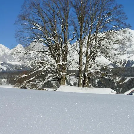 Dachsteinblick Apartahotel 4*