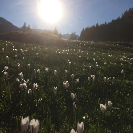 Dachsteinblick Schladming
