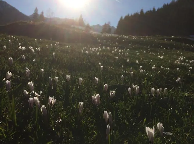 Dachsteinblick Шладмінг